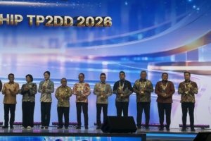 TP2DD Digitalisasi