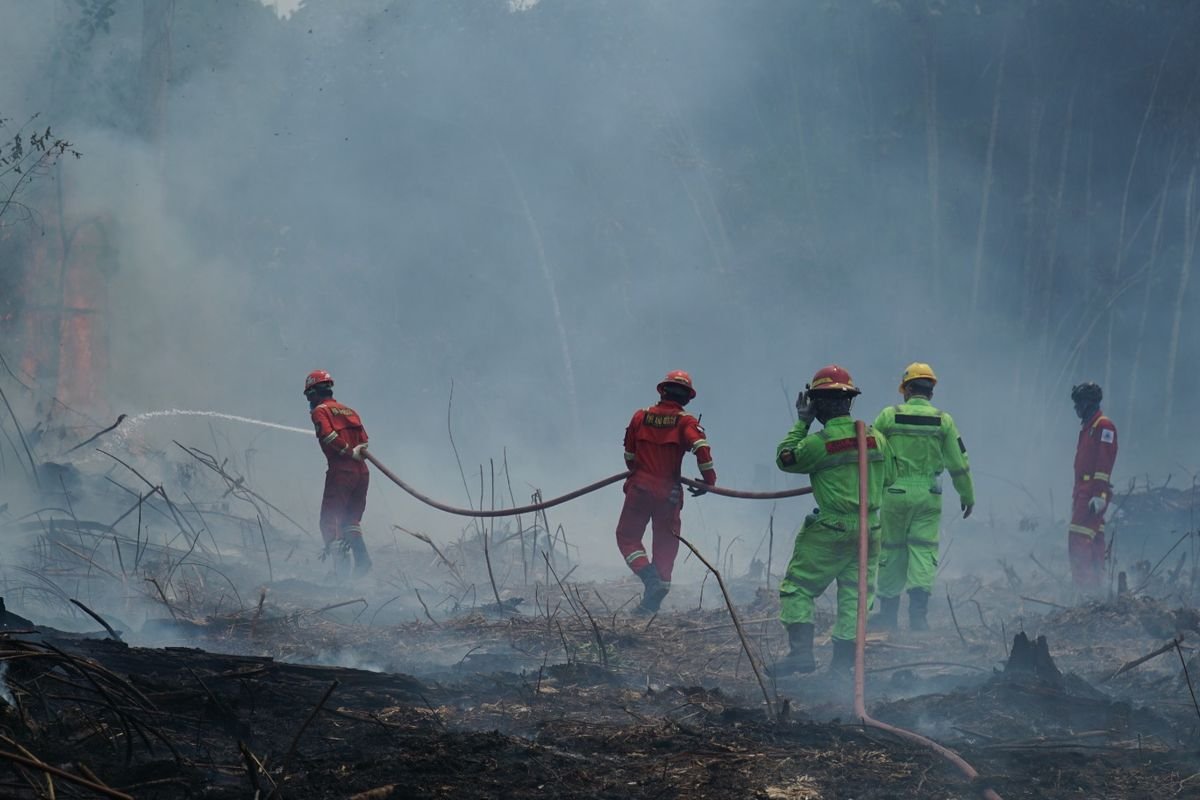 penanganan karhutla di enam provinsi